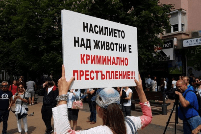 Обявиха нова дата за протеста в защита на животните!