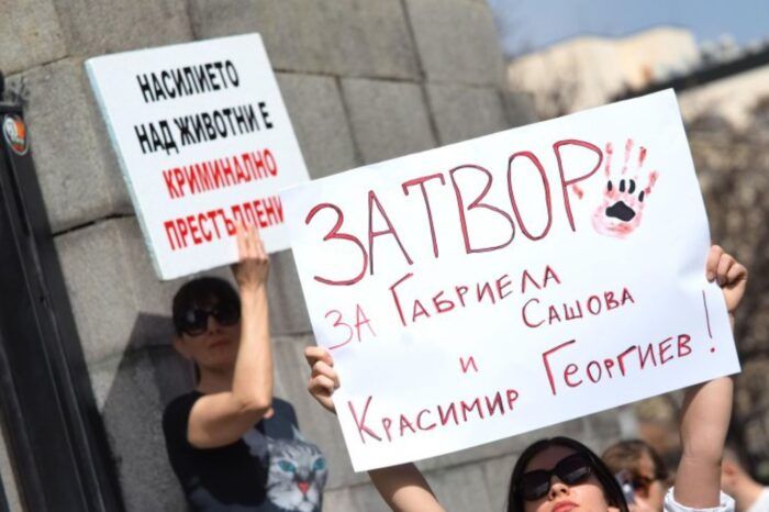 Прокурорът по делото за зверствата с животни: Най-тежкото наказание е за пране на пари