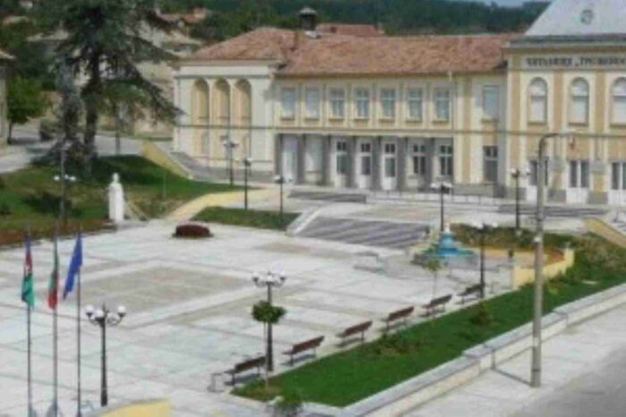 Незаконна сеч край Сухиндол заради соларен парк - Прокуратурата разследва